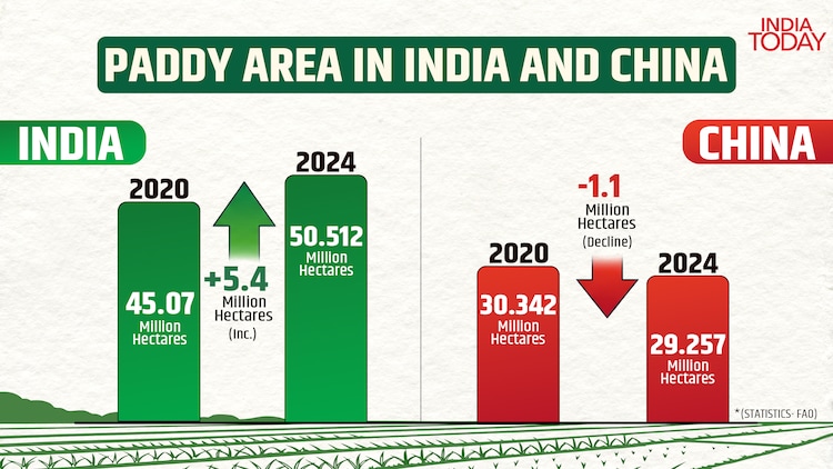 Infographic